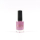 Window Box - Nail Polish