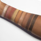 Eastern Fall - 9 Pan Palette
